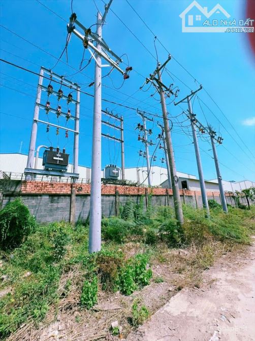 Cho thuê nhà xưởng 10000m2 Tân An, Vĩnh Cửu, giá thuê 3.2$/m2/tháng. - 1