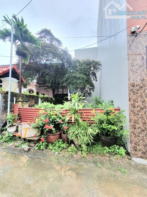 🏡 SIÊU PHẨM ĐẤT NỀN – GIÁ CHỈ 4,2 TỶ - 1