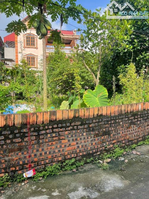 Bán đất Lộc Hà, Mai Lâm, Đông Anh 49m- nhỉnh 5 tỷ( TL) - 1