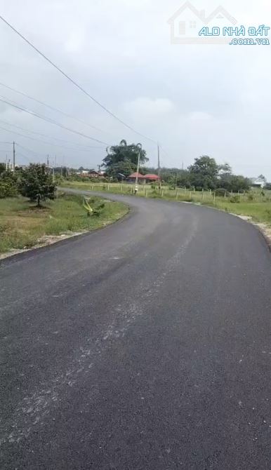 Cần bán đất mặt tiền đường nhựa 1/ DT 787 P. Lộc Hưng. Trảng Bàng Tây Ninh 8.500m2 Thổ 800 - 1