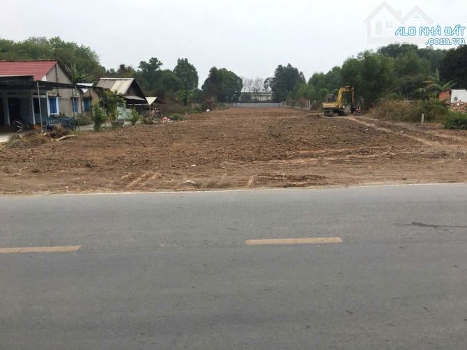 ĐẤT (10X55) MẶT TIỀN “KIM CƯƠNG” – TÂN THẠNH ĐÔNG, CỦ CHI - 1