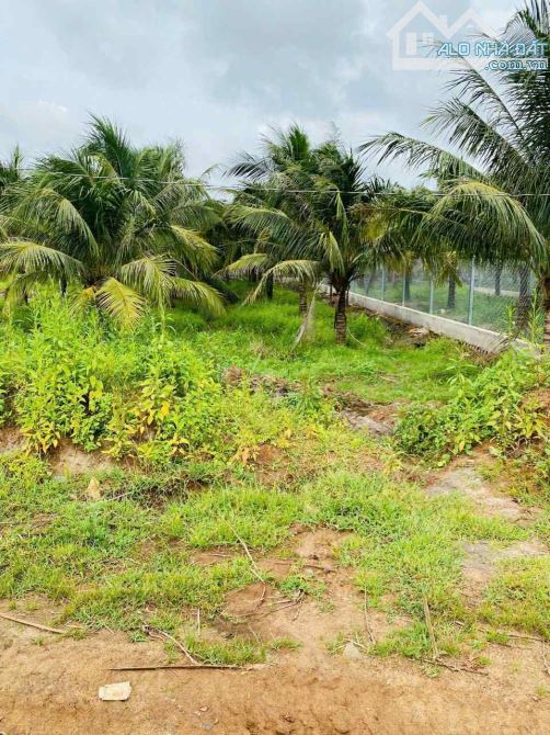 Bán đất mặt tiền Tỉnh Lộ 44B mới, Phước Hải- Hồ Chí Minh Chỉ 1tỷ700 - 1