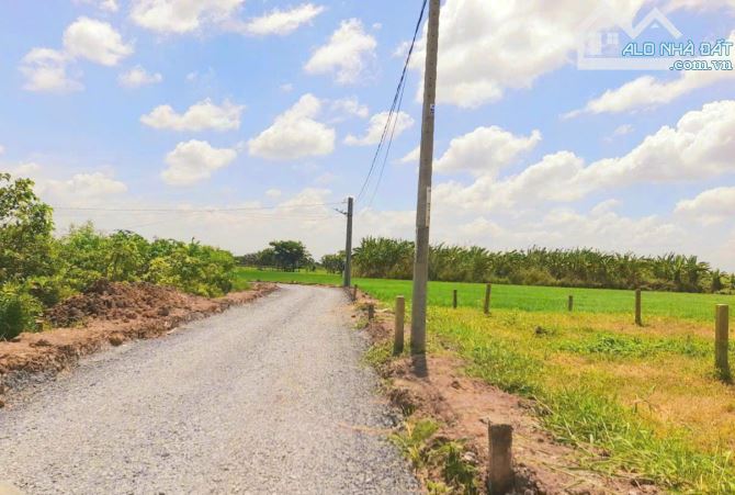Hàng Thơm, 830m² đất thổ View Kênh KDC Mỹ Thạnh, 1.1 tỷ - 1