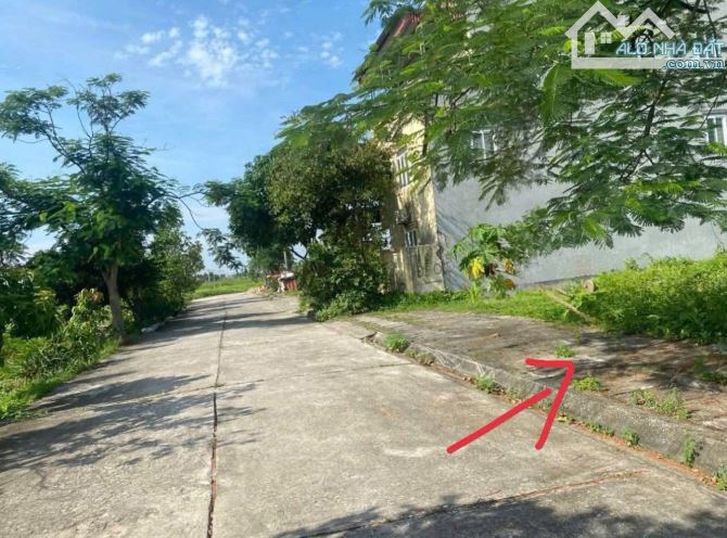 Chính chủ gửi bán lô đất tại Vườn Ổi, TDP Sú - Lâm Động - phường Thiên Hương, TP Hải Phòng - 1