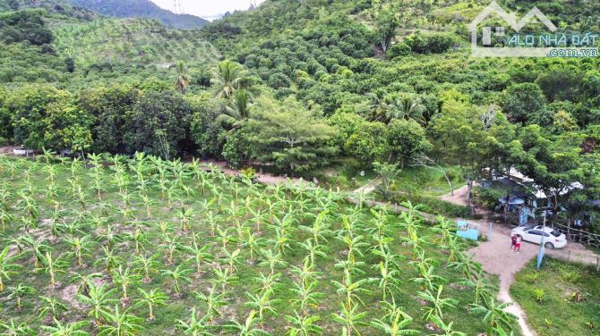 Bán đất vườn Suối Tiên, Diên Khánh. Giá 350k/m2 - 1