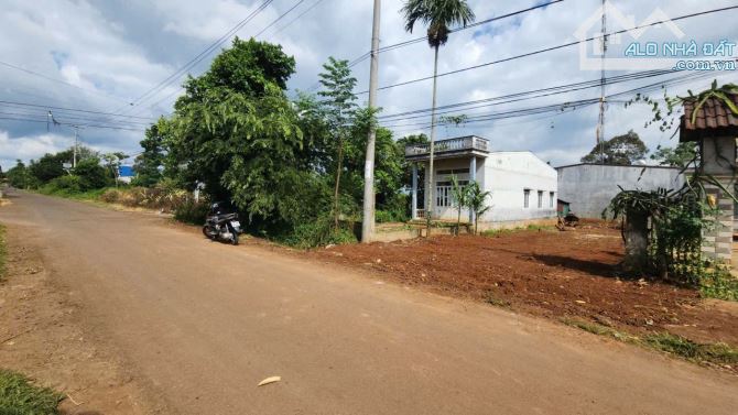 BÁN LÔ ĐẤT 500M2 - 2 MẶT TIỀN ĐƯỜNG NGUYỄN XUÂN NGUYÊN, P. TÂN AN, TP. BUÔN MA THUỘT - NỞ - 1