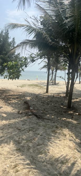 Chào bán 272,54m đất 2mt weu sông cổ cò cách biển Hà My vài trăm m giá tot - 1