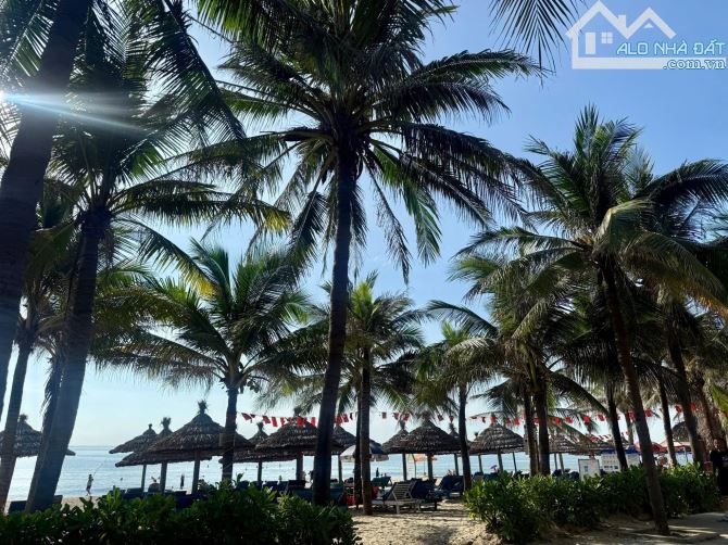 SIÊU PHẨM HÀNG HIẾM GẦN BIỂN SƠN TRÀ - 1