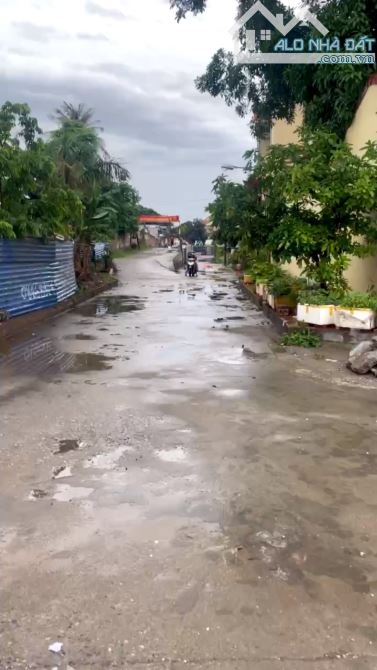 Bán lô đất ngõ ô tô ra vào khu phân lô đường Dương Đình Nghệ - 1