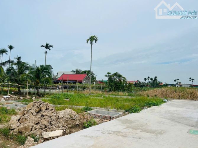🔥 Cơ hội cuối cùng – Chỉ còn 3 lô đất đẹp tại phân lô Nghĩa Phương, Minh Đức, Đồ Sơn! - 1