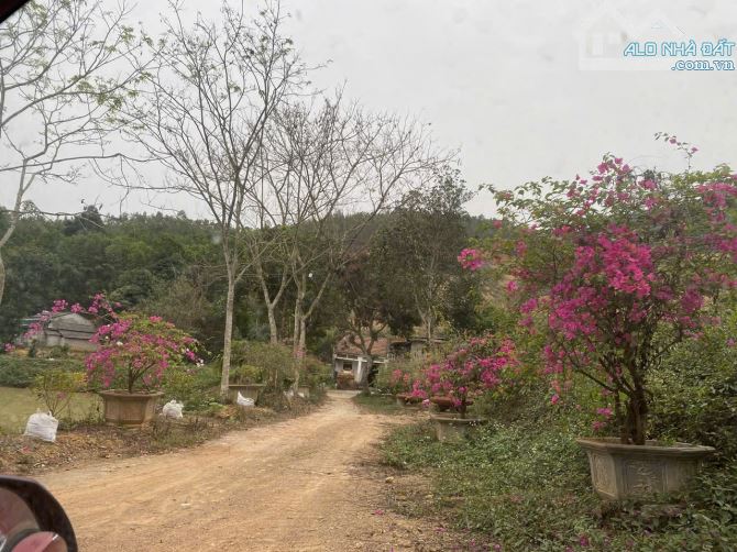 Bán 18858.8m2 đất nghỉ dưỡng view đẹp Thanh Thủy, Phú Thọ. Giá 1tr/m2 - 1