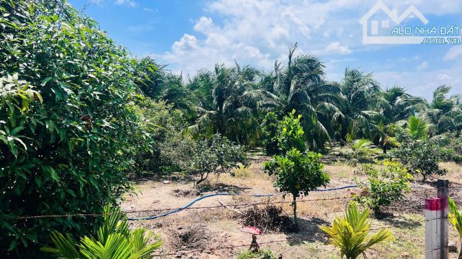 📌📌TT PHƯỚC HẢI- LONG ĐẤT - BRVT - NGAY SÁT TỈNH LỘ 44B  🔺DT: 609m2  (10x61) - 1