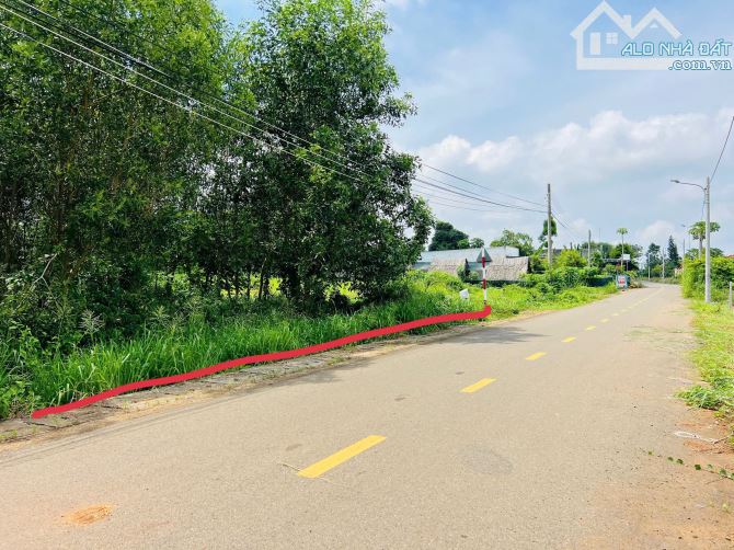 🔺Mặt tiền Lương Thế Vinh gần TL52  Xã Đất Đỏ tp Hồ Chí Minh  👉đi biển Phước Hải 15phút - 1