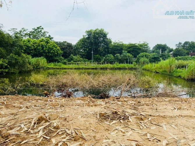 Bán 1.217m2 - sổ đỏ đất đô thị Hà Nội - tặng thêm 1000m2 đất có sẵn ao, phân lô xây nhvườn - 2
