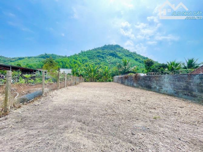 Bán 2 Lô Đất Thổ Cư Trung Tâm Thôn Cây Sung – Xã Diên Thọ, Diên Khánh, Khánh Hòa - 2