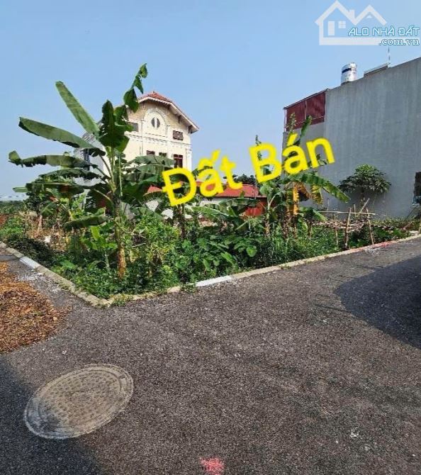 ĐẮT PHÂN LÔ - Ô TÔ ĐỖ CỬA - ĐA TỐN - LONG BIÊN - GIA LÂM - 2