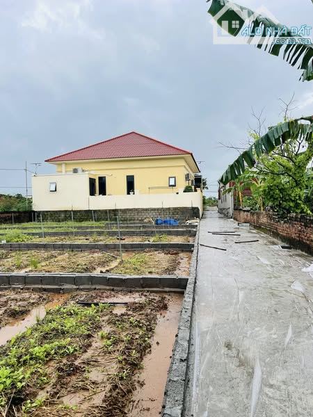 🔥 CÒN DUY NHẤT 1 LÔ ĐẤT GIÁ CHỈ 17 TRIỆU/M2 ĐẦU TƯ TẠI KHOÁI CHÂU HƯNG YÊN - 2