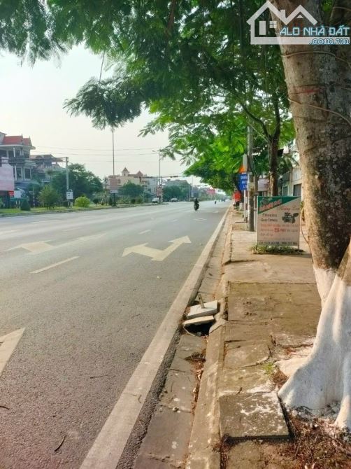 Bán 2 hec ta đất mặt đường Phạm Văn Đồng Dương Kinh - 2