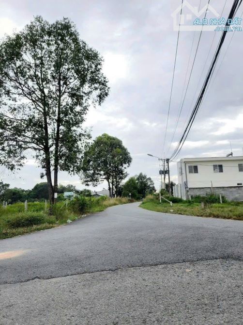 BÁN GẤP 1.949M², NỞ HẬU ĐẸP - ĐẤT MẶT TIỀN SÔNG LU – CỦ CHI - 2