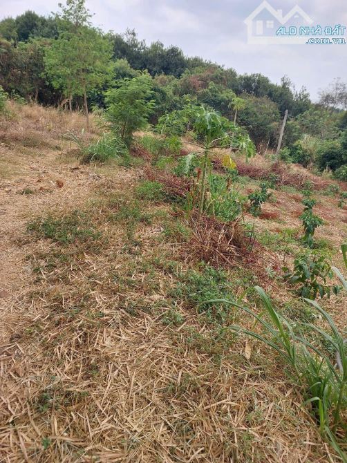 🌈Lô Đất 2 Mặt Đường Hẻm PHAN HUY CHÚ Nối Dài - Hòa Xuân (10x105m👉1.15 tỷ) - 2