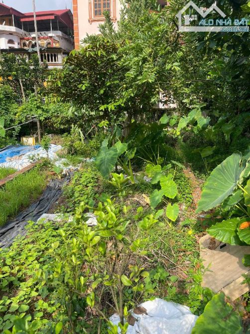 Bán đất Lộc Hà, Mai Lâm, Đông Anh 49m- nhỉnh 5 tỷ( TL) - 2