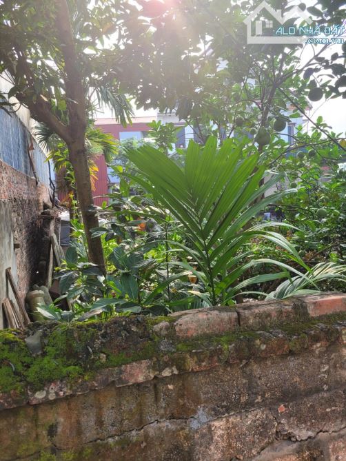 BÁN ĐẤT ĐỒNG MAI HÀ ĐÔNG, 64M MT4M,   + VỊ TRÍ TRUNG TÂM TỔ 11 NGÕ THÔNG, CÁCH 1 NHÀ LÀ GI - 2