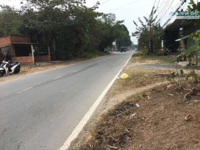 ĐẤT (10X55) MẶT TIỀN “KIM CƯƠNG” – TÂN THẠNH ĐÔNG, CỦ CHI - 2