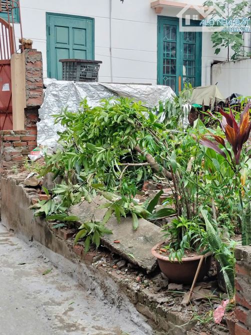 🚀 MAI LÂM – ĐÔNG ANH “TỌA ĐỘ VÀNG” TRONG MẮT GIỚI ĐẦU TƯ – MẢNH ĐẤT 42M² GIÁ ĐẸP - 2