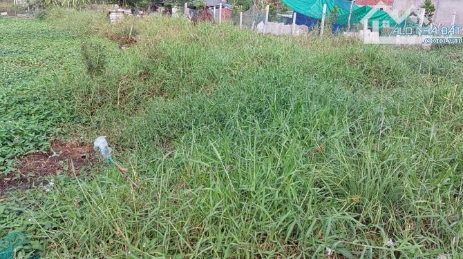 Bán đất QH dân cư 529m2 xã Bình Chánh - 2