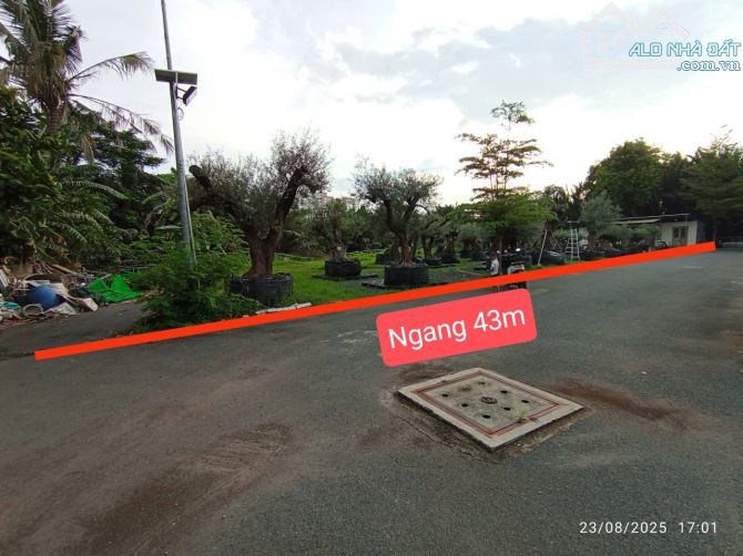HXH 7M - LINH ĐÔNG - THỦ ĐỨC - ĐẤT VƯỜN - 1490M2 - 2