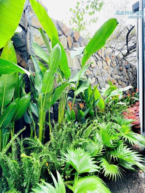 NHÀ MỚI 2 TẦNG FULL NỘI THẤT - BÀU HẠC, KIỆT THÔNG, GẦN MẶT TIỀN - 2
