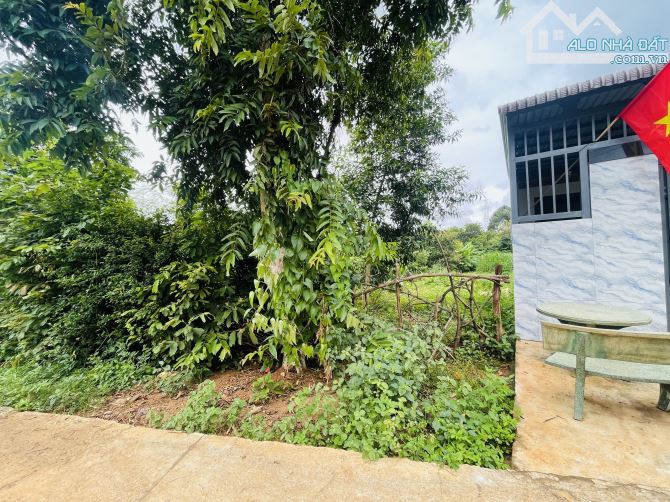 Đất ngay trường học xã Ea Noul huyện Buôn Đôn - 2