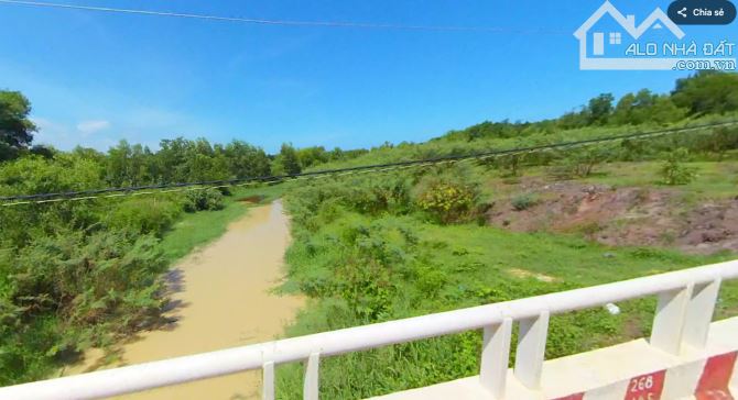 Bán Đất Bình Châu – Xuyên Mộc  2600m2 cung đường ven biển Hồ Tràm – Bình Châu - 2
