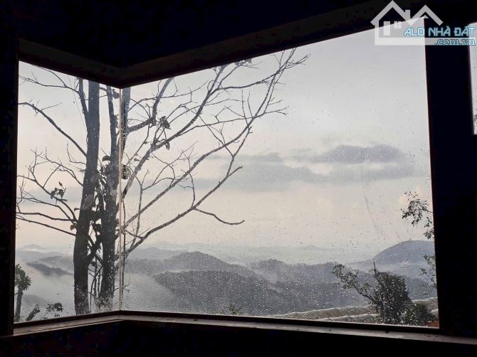 BÁN ĐẤT CÓ NHÀ GỖ SIÊU XINH VIEW THÔNG, SĂN MÂY 1200M2 SR GIÁ CHỈ 3 TỶ - 2