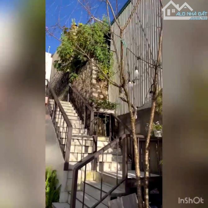 cho thuê khu 3 căn villa tổng 11 phòng phường 6 đà lạt 50 triệu/tháng - 2