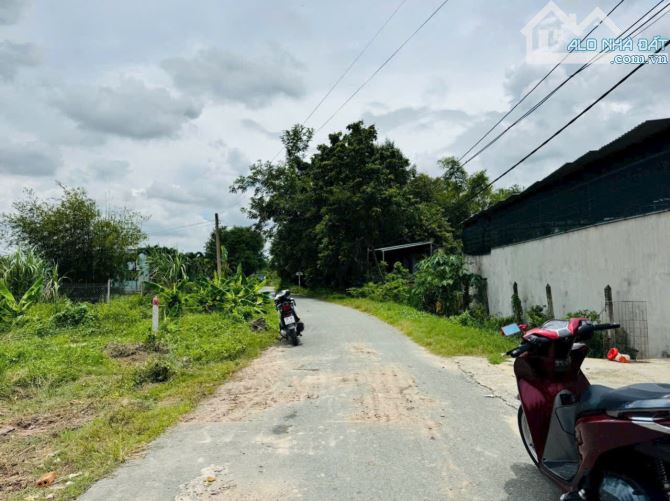 Bán lô đất Thái Mỹ Củ Chi, Tp.HCM - 2
