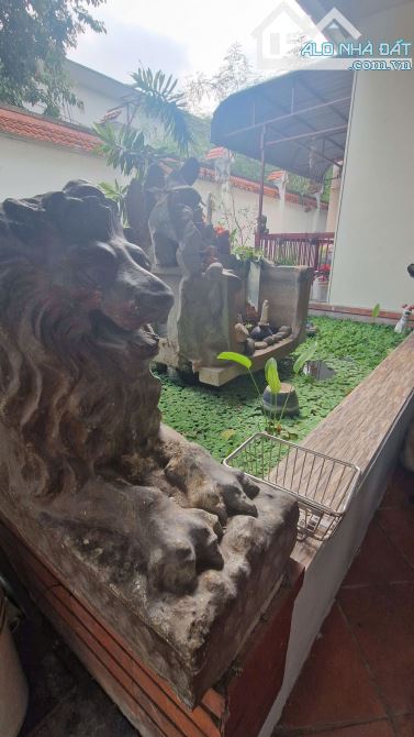 Bán nhà mặt đường Công Lý phường Bình Thọ gần chợ Thủ Đức (810m2) 65 tỷ - 2