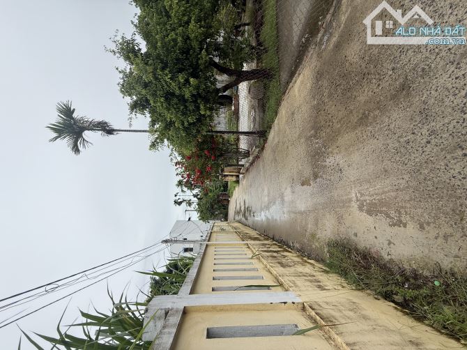 SIÊU RẺ , Lô Góc 300m full Thổ Cư Cẩm Thanh , Phía Sau là Villa lớn đang kinh doanh - 2