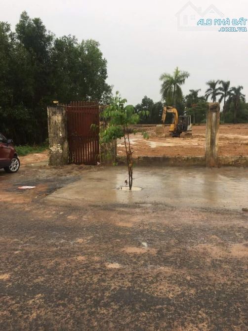 Cần Bán Nhanh Lô Đất 7000m² (Có 300m² Thổ Cư) Kèm Nhà Cấp 4, Mặt Tiền Đường Nhựa Cá Lăng, - 2
