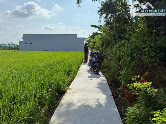 Bán đất chính chủ đất thổ cư sổ hồng riêng giá 430 triệu - 2