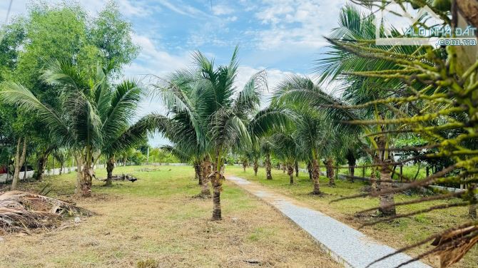 2135M2 VƯỜN DỪA SUM SUÊ NGAY NHÀ THỜ HỒ TRÀM- CÁCH PHỐ ĐI BỘ HƠN 1KM - 2