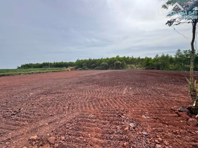MẶT TIỀN TỈNH LỘ 997 - XÃ ĐẤT ĐỎ -TP HCM - NGAY CẠNH KHU CÔNG NGHIỆP ĐẤT ĐỎ 📐DT 10x39m - - 2