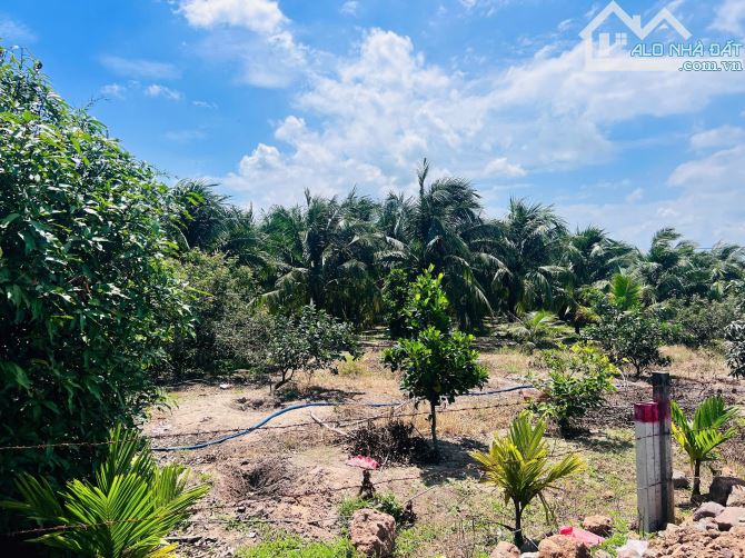 📌📌TT PHƯỚC HẢI- LONG ĐẤT - BRVT - NGAY SÁT TỈNH LỘ 44B  🔺DT: 609m2  (10x61) - 2
