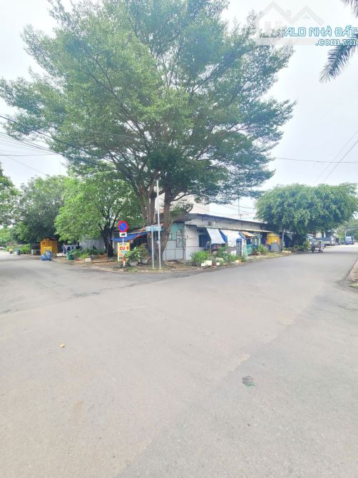Bán nhà cấp 4, 10 phòng trọ góc 2MT KDC Đông An p.Tân Đông Hiệp Tp.Dĩ An chỉ 10tyTL M7405 - 3
