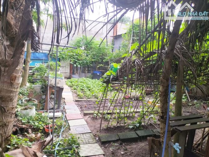 Đất Khu 8 – Phú Hòa, TDM  DT: 7 x 15m = 115,2m² (thổ cư 50m²) - 3