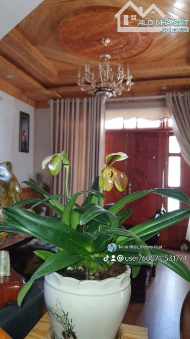 🔥 Bán nhanh nhà phố 2 mặt tiền – ngang 13m, 6 phòng ngủ, P.09, Đà Lạt 🔥 - 3