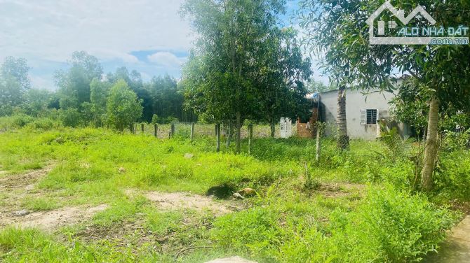 Bán 408m2 đất ONT Tân Xuân - Hàm Tân giá đầu tư chỉ 620 triệu - 3