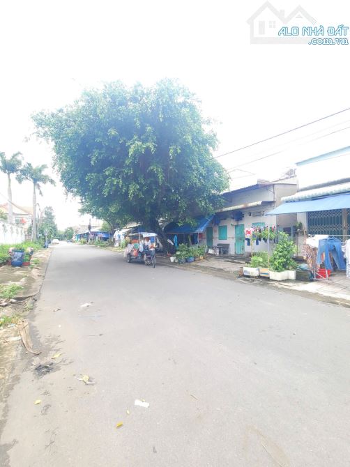 10Tỷ TL🔥Bán 300m2 nhà cấp 4 +10 phòng trọ _Góc 2MT KDC Đông An, p.Tân Đông Hiệp, Tp.Dĩ An - 3
