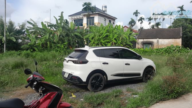 Bán đất đường Hoa Động, Hoàng Lâm, Thủy Nguyên HP. 1,8 tỷ, 83m2. - 3