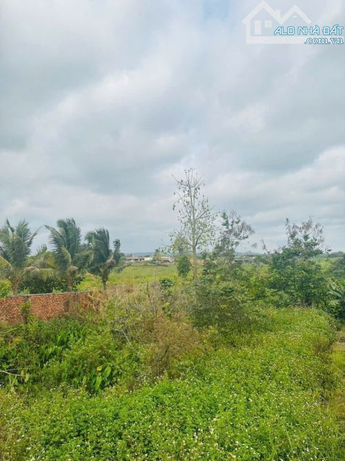 Bán Lô Đất Thuộc Phường Hòa khánh Buôn ma Thuột Dak Lak - 3